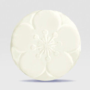 Premium WHITE PAINT